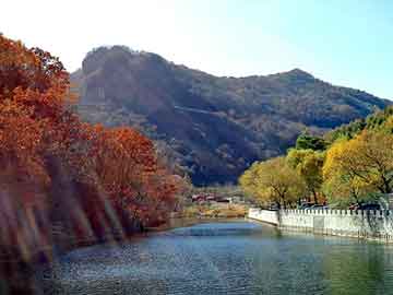 管家婆一肖一碼100澳門150期 16-23-28-44-47-49E：13,探索彩票奧秘，管家婆一肖一碼與澳門彩票期數(shù)解析