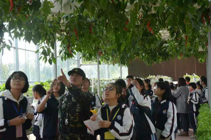陸瓷最新,陸瓷最新動(dòng)態(tài)，探索前沿技術(shù)與藝術(shù)融合的無(wú)限可能