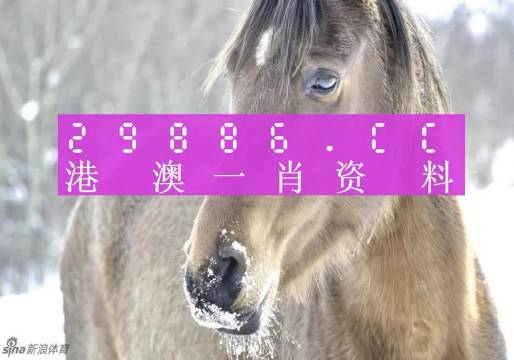 澳門(mén)一肖一碼100%正確答案,澳門(mén)一肖一碼，揭秘100%正確答案的傳奇