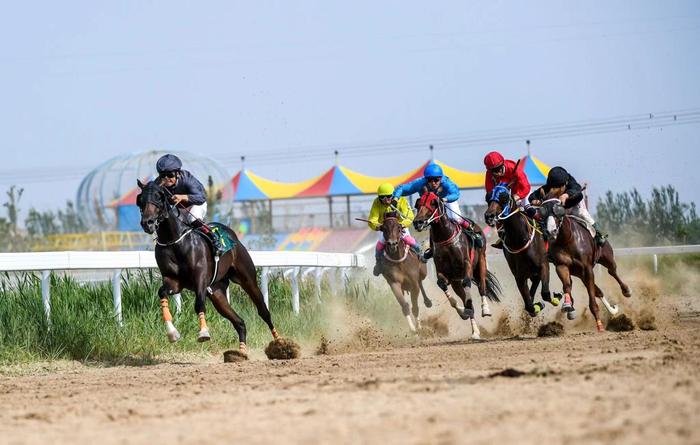 2024今晚香港開特馬,今晚香港開特馬，探尋賽馬文化的魅力與激情四溢的賽事之夜
