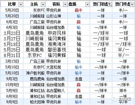 新澳內(nèi)部資料精準(zhǔn)一碼波色表,新澳內(nèi)部資料精準(zhǔn)一碼波色表，探索與解讀