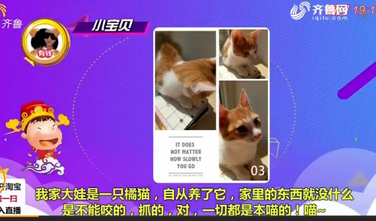 澳門一碼一肖一待一中四不像,澳門一碼一肖一待一中四不像，探索神秘與現(xiàn)實(shí)的交融