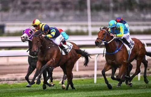 2025今晚香港開特馬,今晚香港開特馬，探索賽馬運動的魅力與未來展望