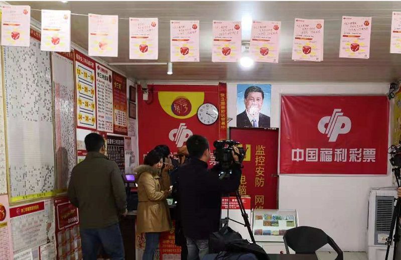 一肖一碼一必中一肖,揭秘彩票背后的秘密，一肖一碼一必中一肖的神秘面紗