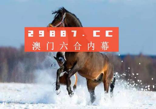 澳門今一必中一肖一碼西肖,澳門今一必中一肖一碼西肖，探索與解析