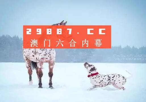 澳門王中王100%的資料2025,澳門王中王100%的資料2025——探索與預(yù)測(cè)