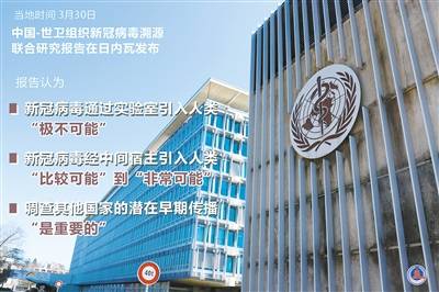 4949澳門精準免費大全鳳凰網(wǎng)9626071期 06-21-37-12-40-08T：14,澳門精準免費大全鳳凰網(wǎng)——探索數(shù)字彩票的世界（第9626071期）