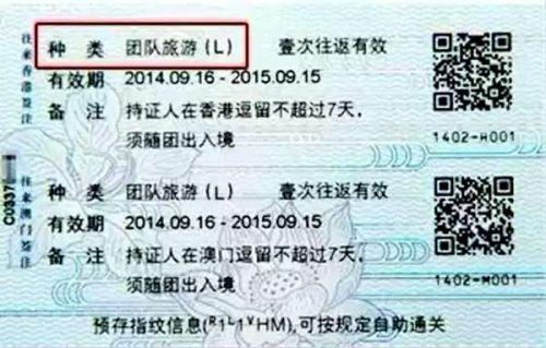 今天新澳門正版掛牌021期 02-19-20-29-38-49K：04,探索新澳門正版掛牌021期，數(shù)字間的奧秘與機(jī)遇